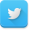 Twitter-icon_larger